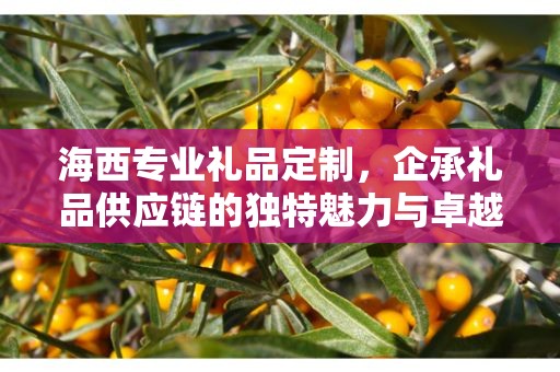 海西专业礼品定制，企承礼品供应链的独特魅力与卓越服务